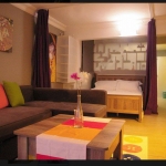 cihangir fully furnished studio flat with garden